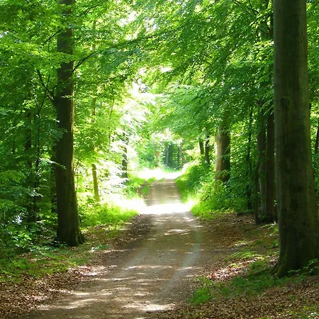 Apartmán Sonne Und